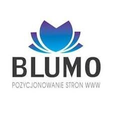 BLUMO – TOP 91 NAJLEPSZE FIRMY SEO
