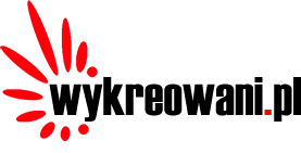 Wykreowani – TOP 19 W NAJLEPSZE FIRMY SEO